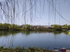 -西安汉城湖景区