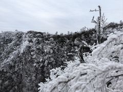 -张家界天门山国家森林公园