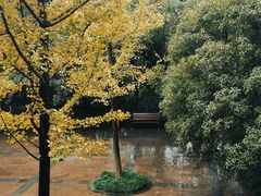 -杭州半山国家森林公园