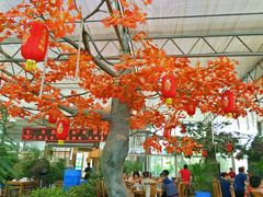 -老磨油饼(高陵店)