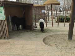 -保定市动物园