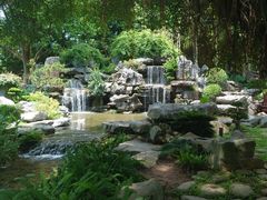 -东莞植物园
