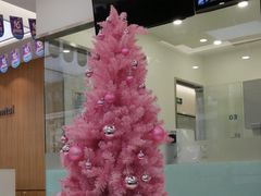 -天使口腔门诊部(上海店)