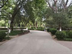 -康庄公园