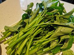 空心菜-红鼎坊·老成都火锅(新南门店)