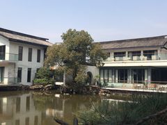 景点-上海植物园