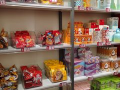 -蜜雪冰城(托乐嘉店)