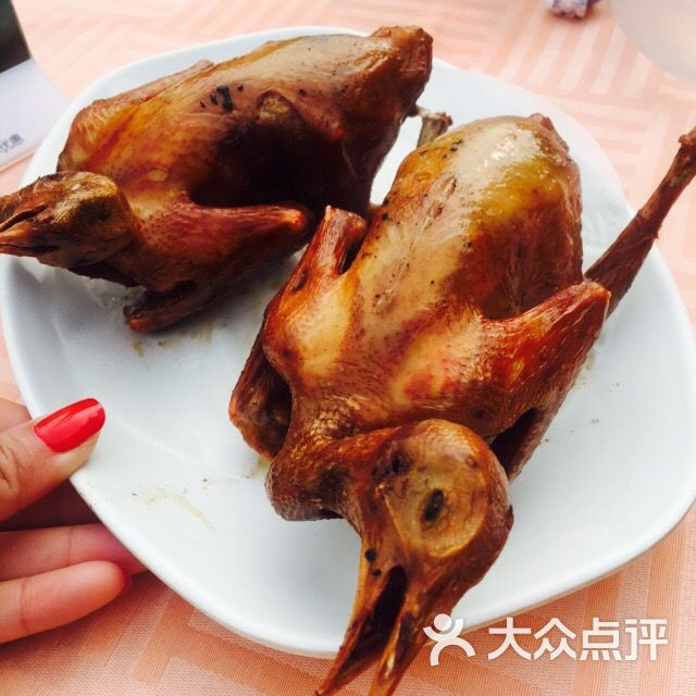 老字号五谷芳乳鸽王(海世界店)-乳鸽图片-深圳美食-大众点评网