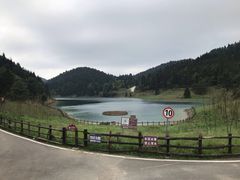 -武陵山森林公园