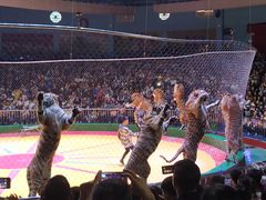 -西安秦岭野生动物园