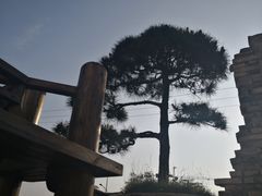 -徽三说·土徽菜·中国徽菜连锁品牌(一中店)