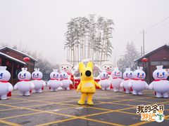 -少华山国家森林公园