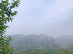 景观位-荒度咖啡(北九水店)