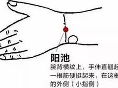 -裕和堂中医推拿艾灸(太古汇臻品店)