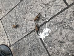 -哈利波特魔法世界
