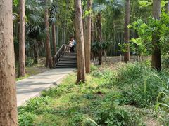 -同里国家湿地公园
