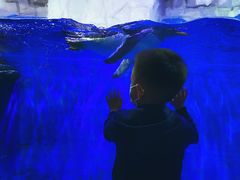 -华夏文旅海洋公园