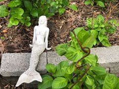 -风车面包