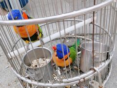 -南宫五洲植物乐园