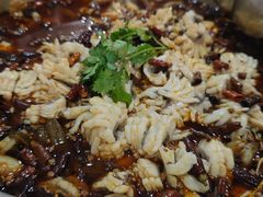 -重庆何乌鱼(南湖逸家店)