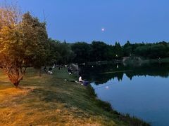 -贡湖湾湿地公园