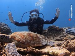 -卡帕莱度假村(西巴丹岛)