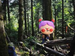 -孟屯河谷景区