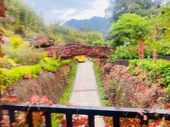 -韶关经律论国际酒店温泉