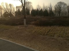 -东郊湿地公园