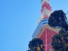 -东京塔海贼王主题公园