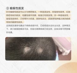 -Bollins波林丝•专研护发中心