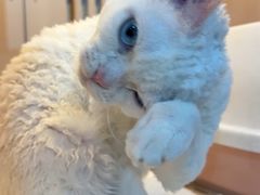 -乐宠宠物店(世纪金源店)