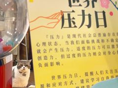 -解忧集市(北京路天河城店)