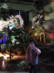 -恐龙探索乐园(磁器口店)