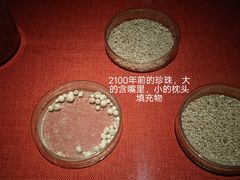 -南越王博物院