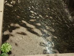 -汤泉良子(金源店)