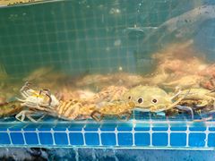 -悦鼎汇海鲜姿造