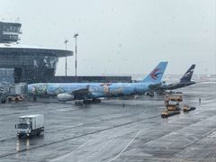 -谢列梅捷沃国际机场