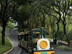 -云溪植物园