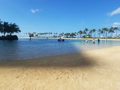 -希尔顿夏威夷度假村之希尔顿分时度假俱乐部套房酒店