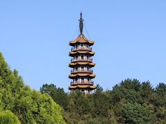 -天下玉苑