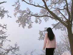 -紫金山山顶公园