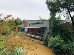 -星巴克(成都天府水街店)