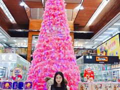 -紫荆城食品交易中心(华强北店)