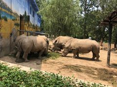 -西安秦岭野生动物园