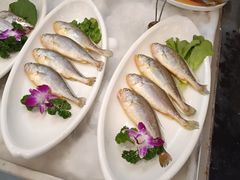 -高老庄新家宴(北斗星广场店)