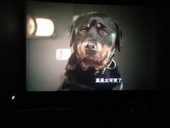 -博纳国际影城(铜锣湾激光巨幕杜比店)