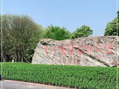 -东平国家森林公园