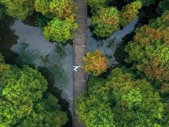 -桤木河湿地公园