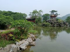 -顺峰山公园